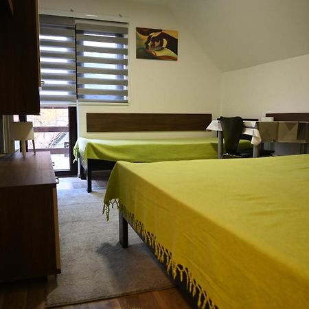Apartman Vukasin コパオニク エクステリア 写真