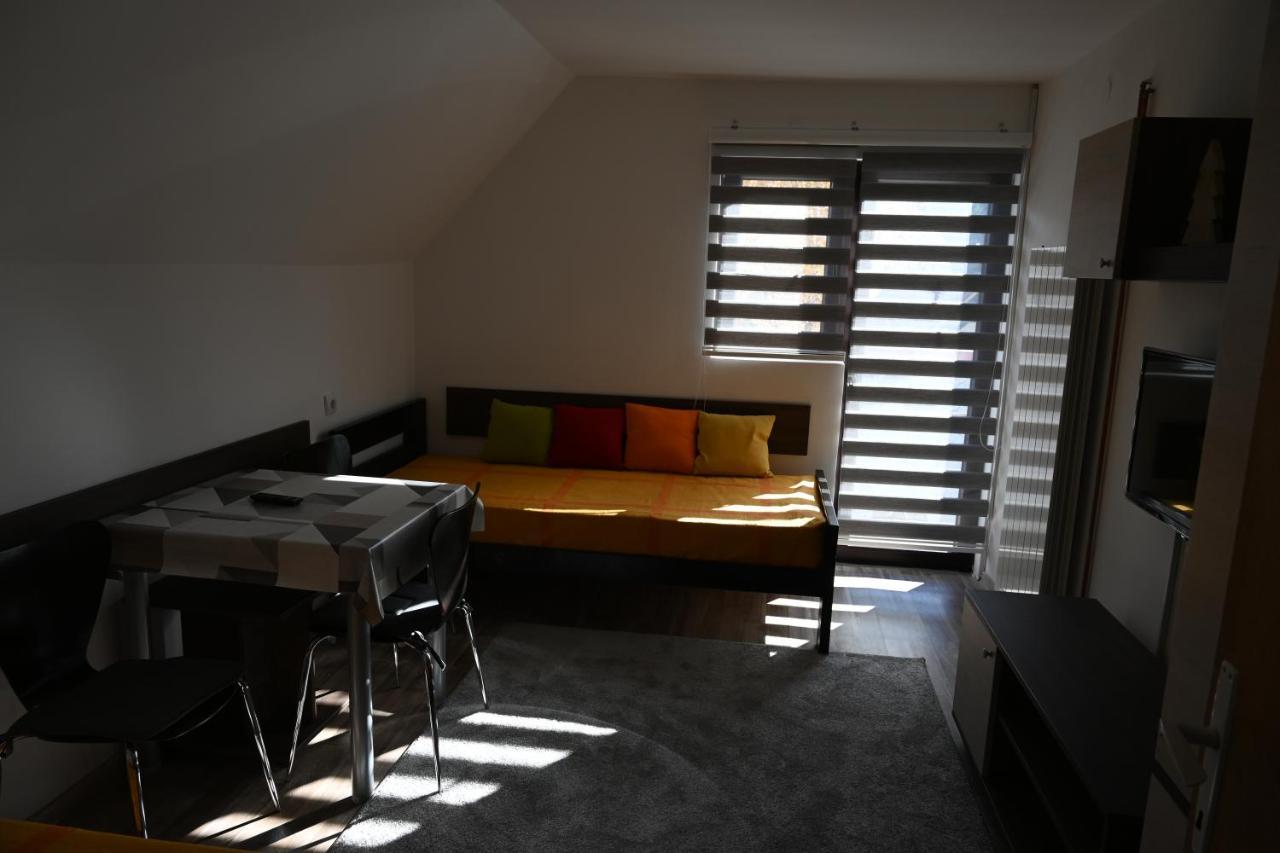 Apartman Vukasin コパオニク エクステリア 写真