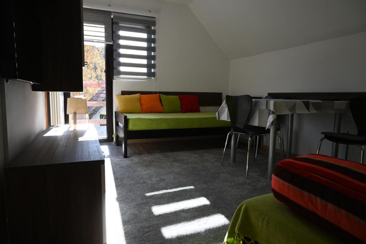 Apartman Vukasin コパオニク エクステリア 写真
