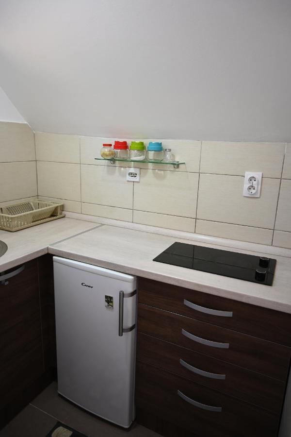 Apartman Vukasin コパオニク エクステリア 写真