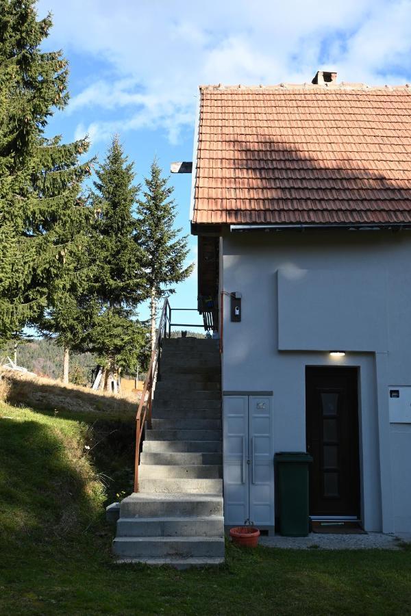 Apartman Vukasin コパオニク エクステリア 写真