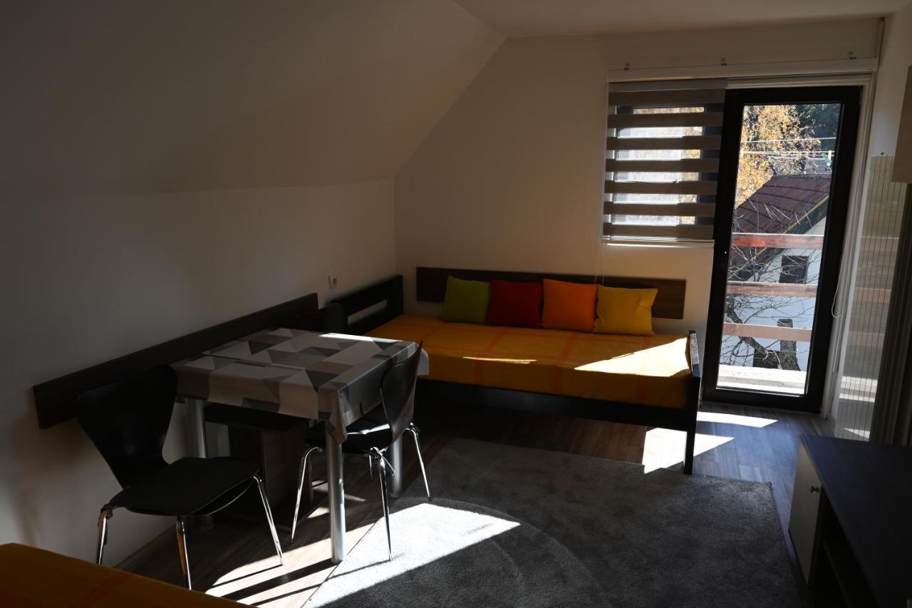 Apartman Vukasin コパオニク エクステリア 写真