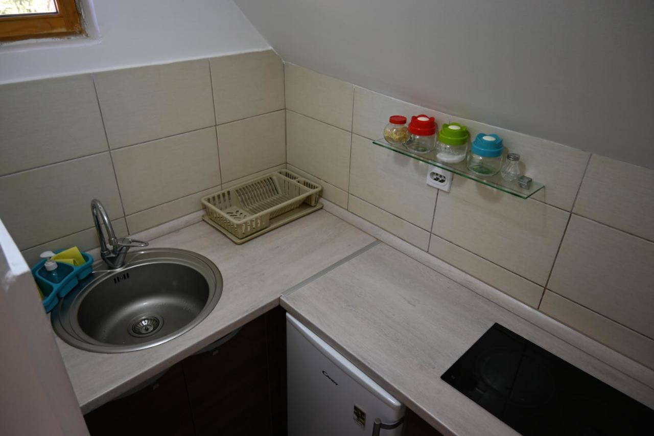 Apartman Vukasin コパオニク エクステリア 写真