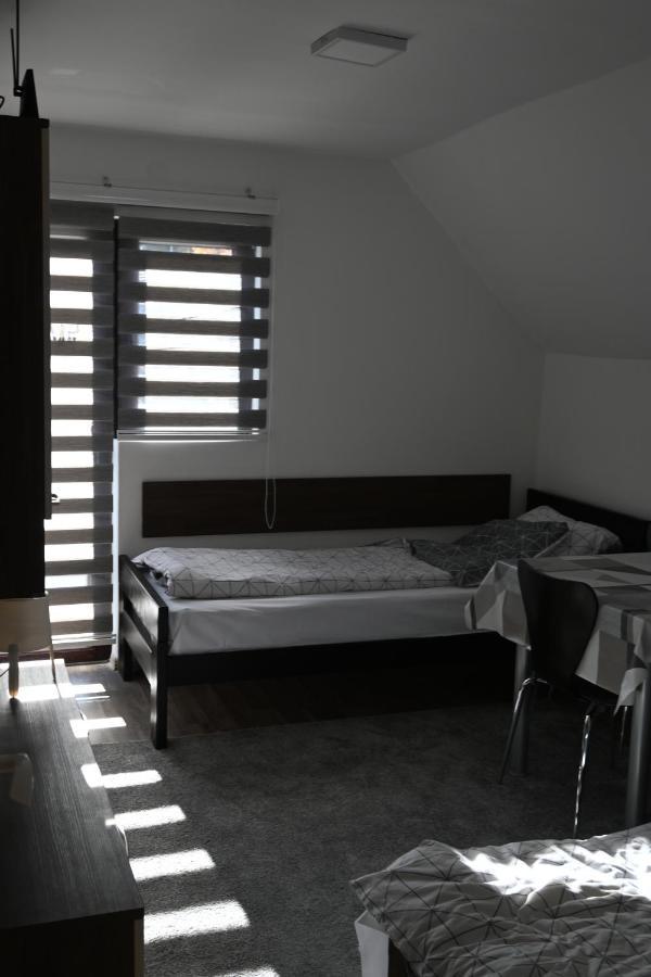 Apartman Vukasin コパオニク エクステリア 写真