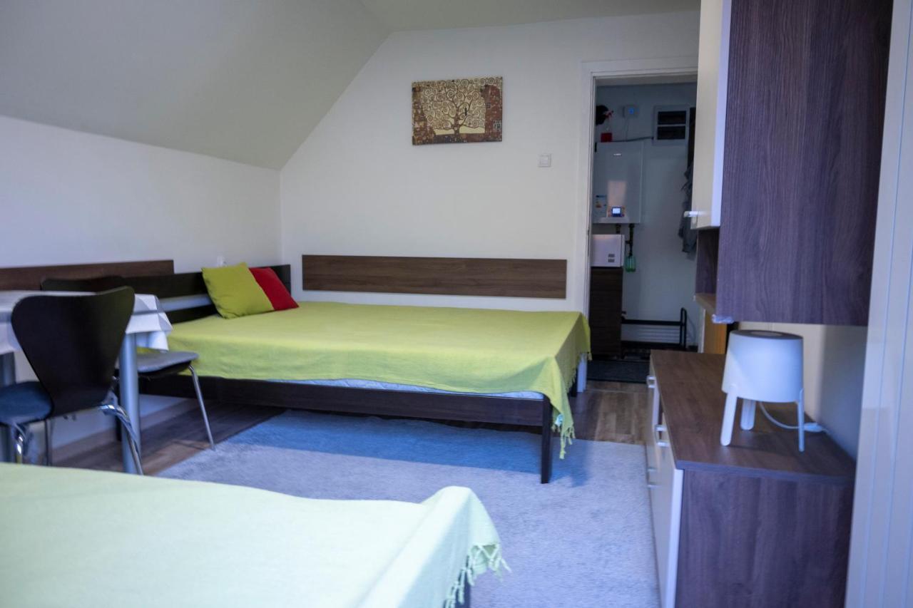 Apartman Vukasin コパオニク エクステリア 写真