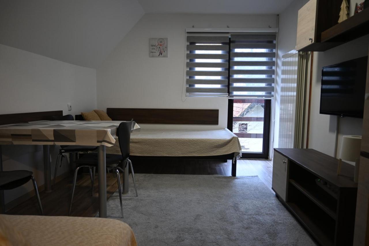 Apartman Vukasin コパオニク エクステリア 写真