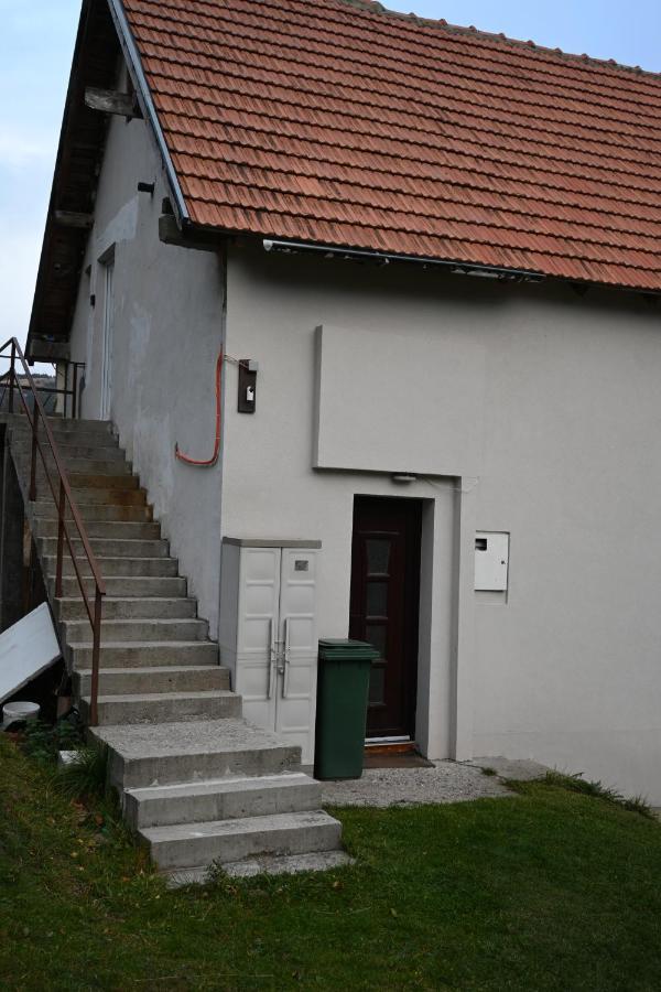 Apartman Vukasin コパオニク エクステリア 写真