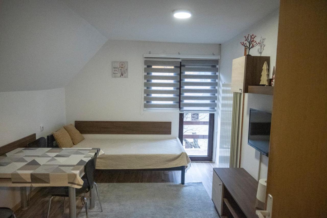 Apartman Vukasin コパオニク エクステリア 写真