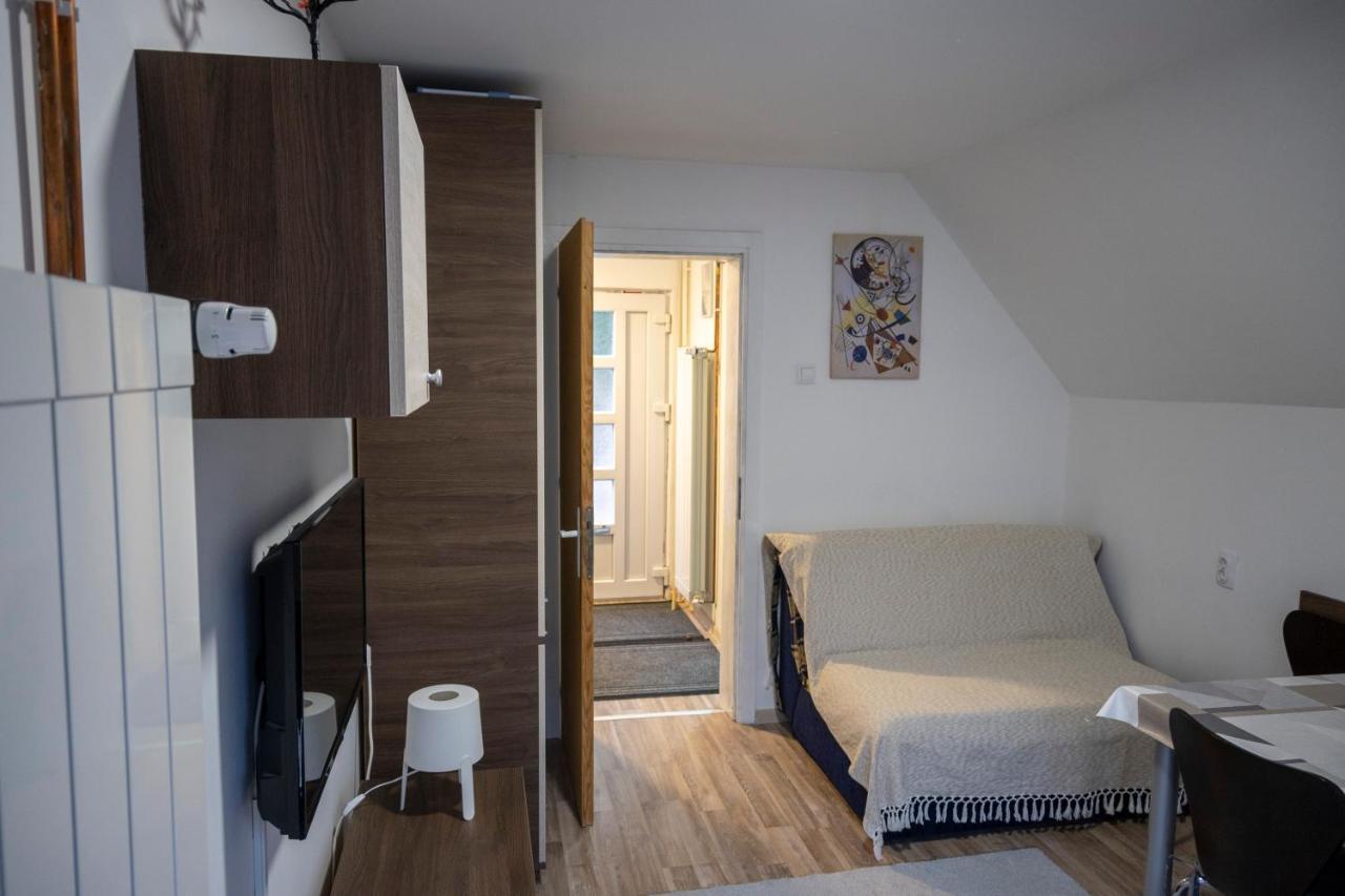 Apartman Vukasin コパオニク エクステリア 写真