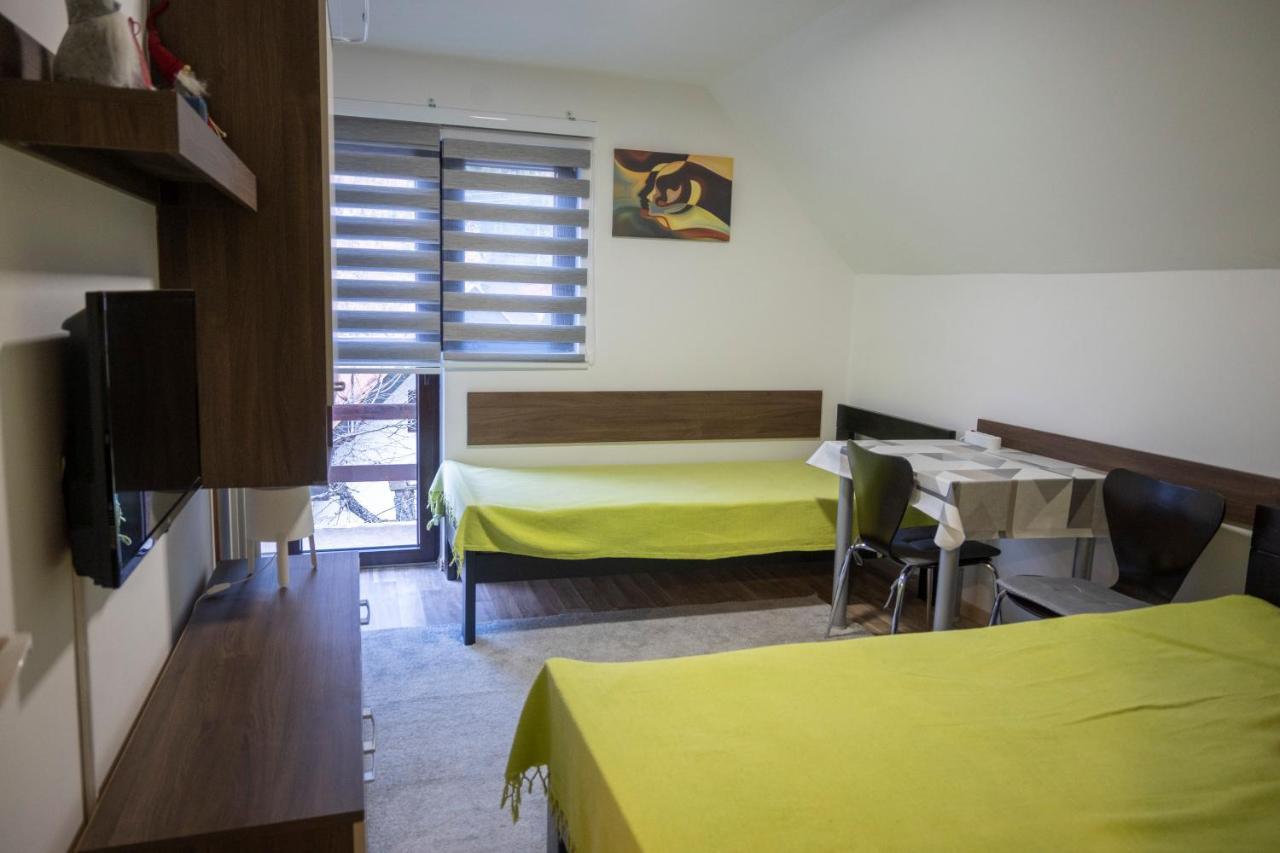 Apartman Vukasin コパオニク エクステリア 写真