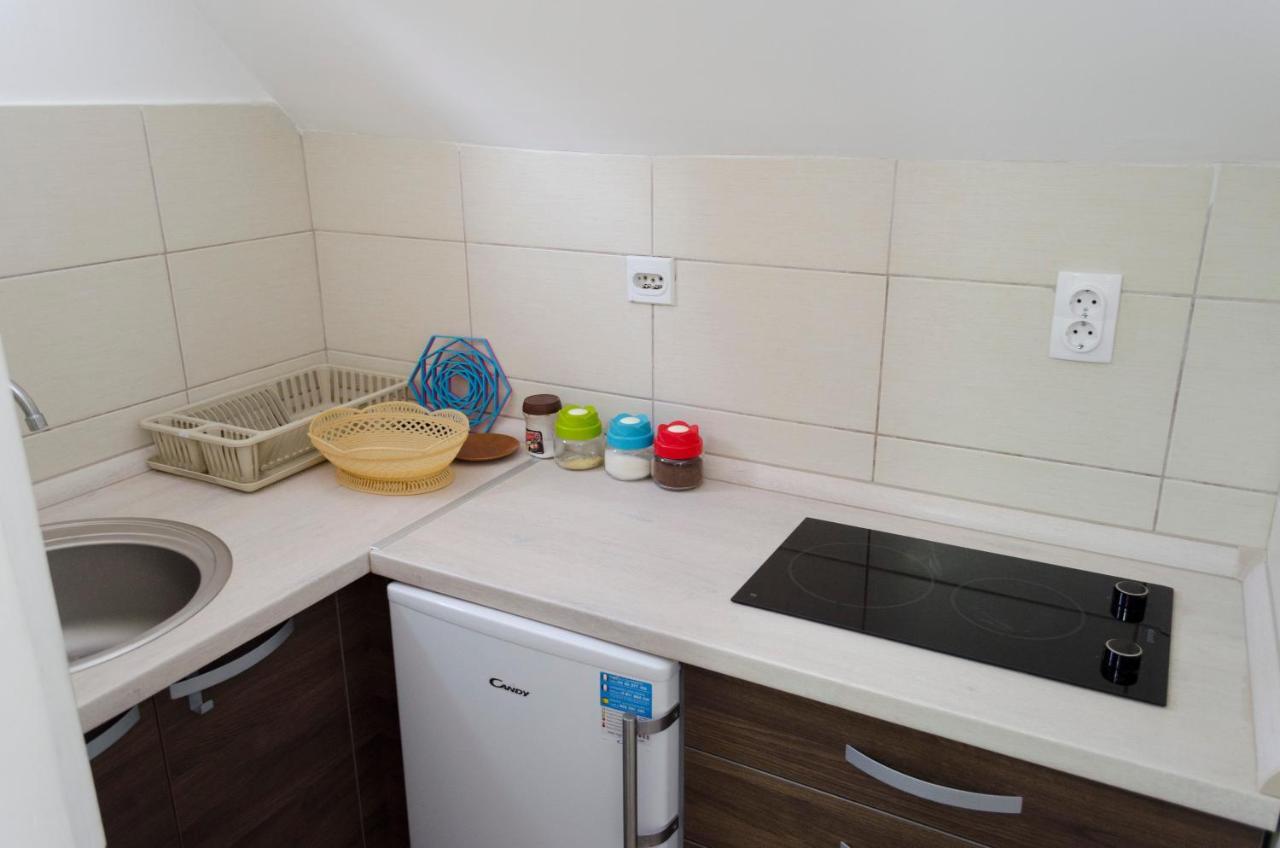 Apartman Vukasin コパオニク エクステリア 写真