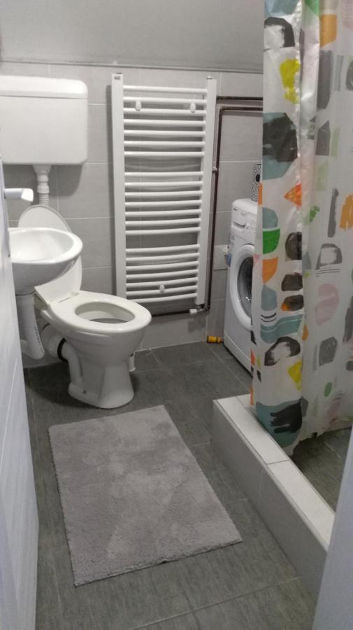 Apartman Vukasin コパオニク エクステリア 写真