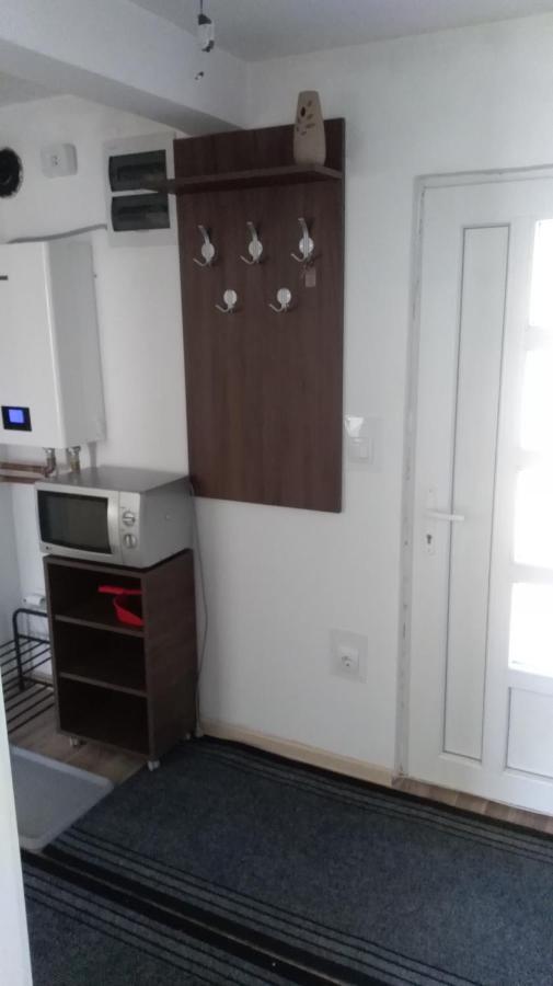 Apartman Vukasin コパオニク エクステリア 写真