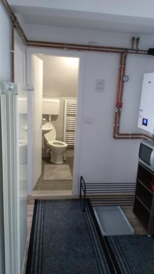 Apartman Vukasin コパオニク エクステリア 写真